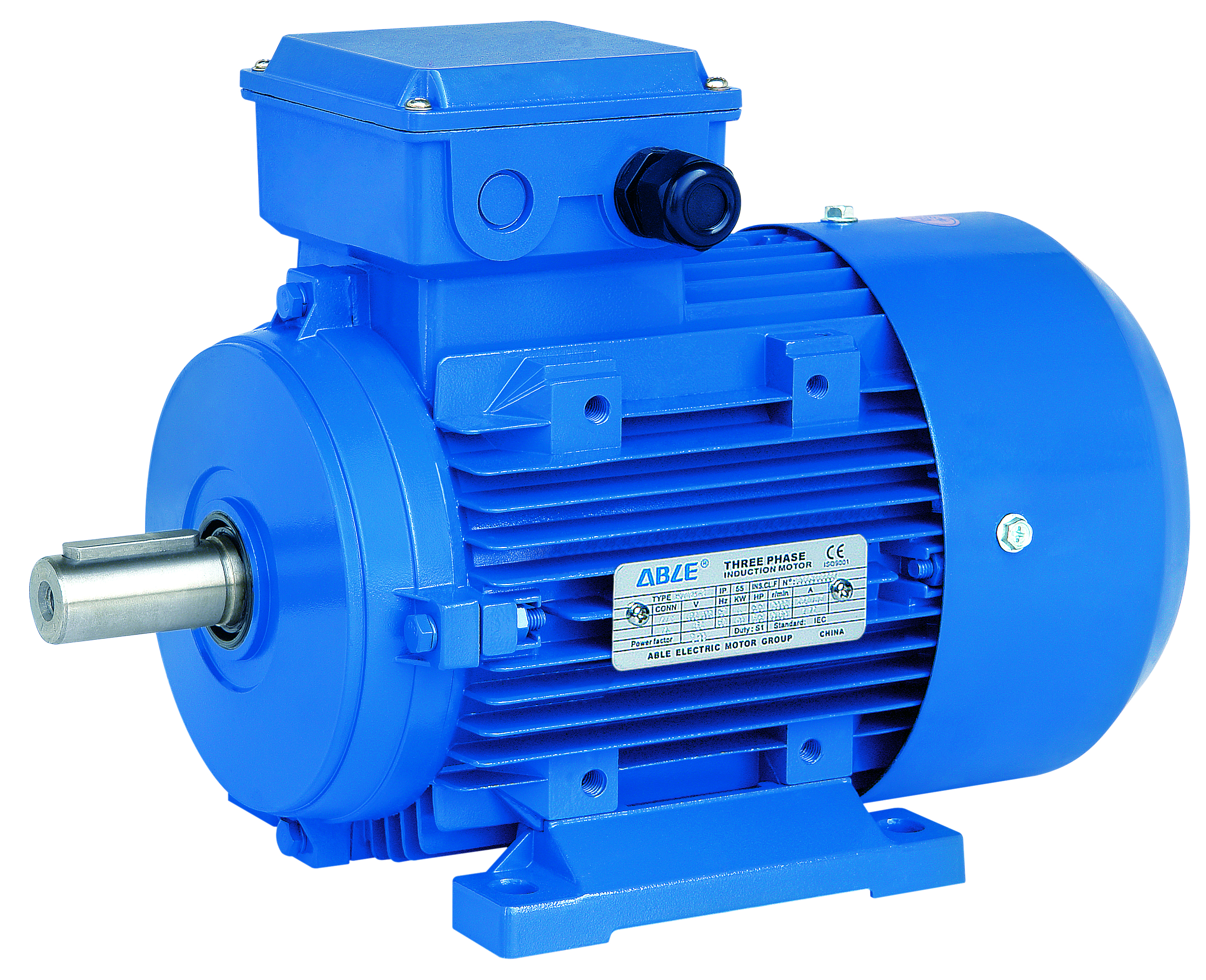 MS Series Three Phase Induction Motor