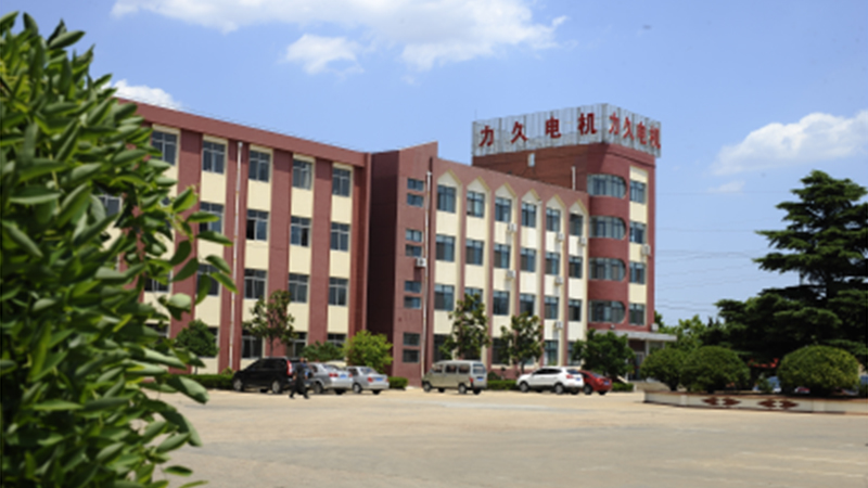 Shandong Lijiu Electrical Machinery Co., Ltd