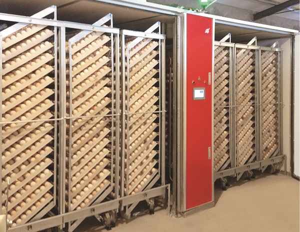57600 Single-stage incubator