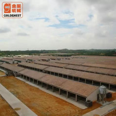 Broiler Chicken Poultry House Farming Equipment Turnkey Project 