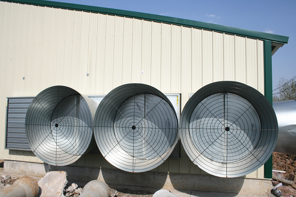 Fan / ventilator