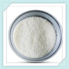 Sodium Gluconate (Retarder)