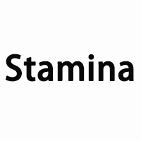 Yantai Stamina Mining Equipment co.,ltd
