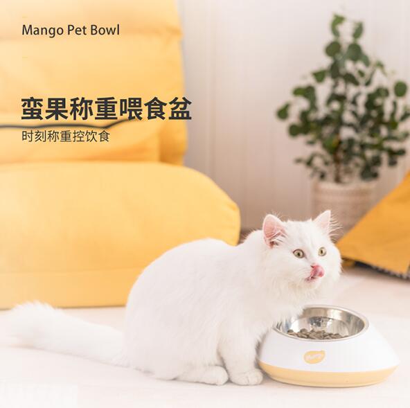 智能称重碗