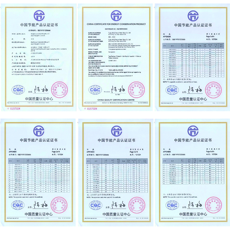 zizhi2