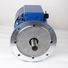 MSB Special motor for stone machinery