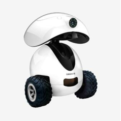 intelligent pet robot