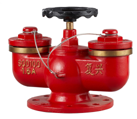 消防水泵接合器（地上式）SQD100-1.6A