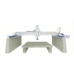 Single head bridge automatic polishing machine