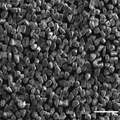 DLMA Diamond Micro Powder