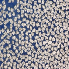 Coated Diamond Powder