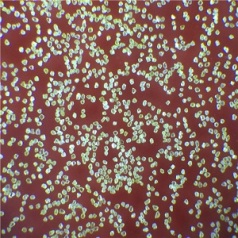 Reshaped Mesh Diamond Powder  (BRM-Z)