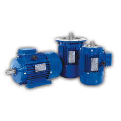 MS series three-phase standard aluminum shell induction motor.