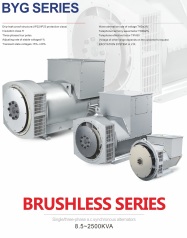 Brushless generator