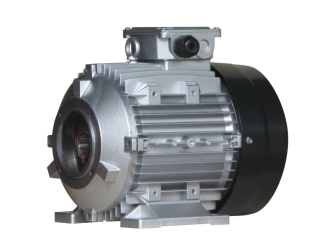 Single-phase permanent magnet brushless generator