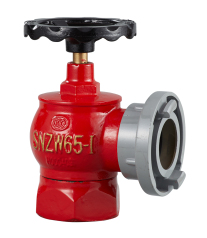 室内消火栓 SNZW65-I
