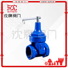 Z15X 丝口钥匙闸阀