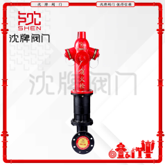 SSFT100 调压防撞栓带弯头