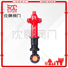 SS100 室外地上栓带弯头 (2)