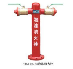 PMS100/65泡沫消火栓